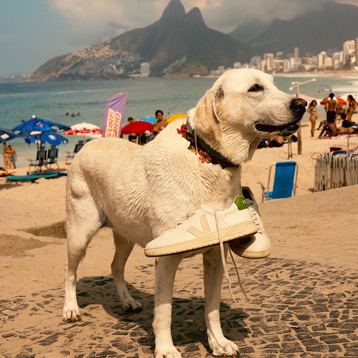 veja urca vegano blanco UC0703878A350