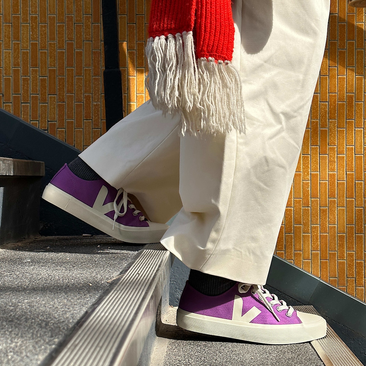 veja sneakers wata-ii-low algodão-orgánico roxo PL0103348